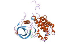 2jbo: PROTEIN KINASE MK2 IN COMPLEX WITH AN INHIBITOR (CRYSTAL FORM-1, SOAKING)