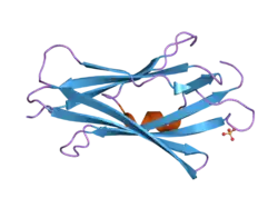 2ji0: CRYSTAL STRUCTURE OF RHOGDI K138Y, K141Y MUTANT