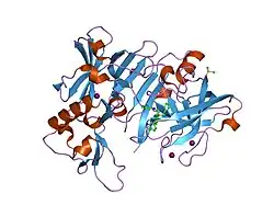 2ohu: X-ray crystal structure of beta secretase complexed with compound 8b