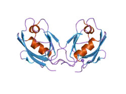 2opg: The crystal structure of the 10th PDZ domain of MPDZ