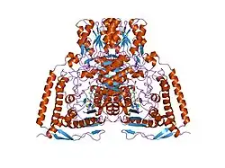 2ozl: Human pyruvate dehydrogenase S264E variant