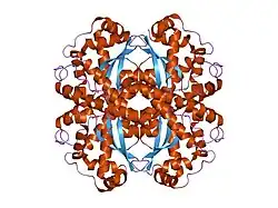 2p4k: Contribution to Structure and Catalysis of Tyrosine 34 in Human Manganese Superoxide Dismutase