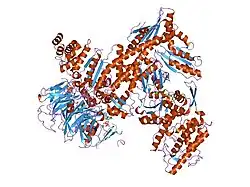 2p9k: Crystal structure of bovine Arp2/3 complex co-crystallized with ATP and crosslinked with glutaraldehyde