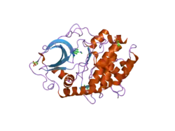 2uvy: STRUCTURE OF PKA-PKB CHIMERA COMPLEXED WITH METHYL-(4-(9H-PURIN-6-YL)-BENZYL)-AMINE