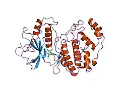 3erk: THE COMPLEX STRUCTURE OF THE MAP KINASE ERK2/SB220025