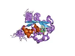 4ayk: CATALYTIC FRAGMENT OF HUMAN FIBROBLAST COLLAGENASE COMPLEXED WITH CGS-27023A, NMR, 30 STRUCTURES