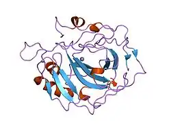 6ca2: ENGINEERING THE HYDROPHOBIC POCKET OF CARBONIC ANHYDRASE II