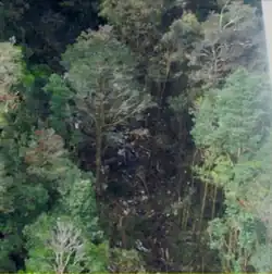 Overview photo of the wreckage of Flight 267