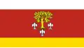 Flag of Poddębice County