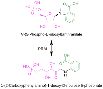 Fig. 1: Enzyme Isomerase Reaction