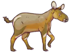 Palaeotherium medium