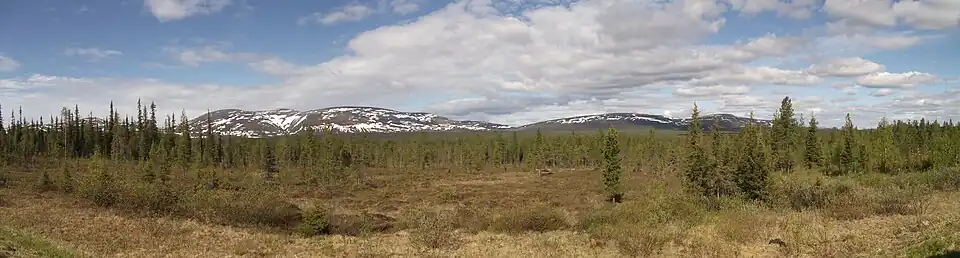 Pallas from NE early summer 2017.