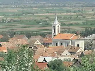 View of Racovița