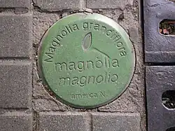 Tree identification plate.