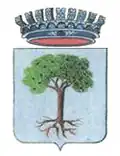 Coat of arms of Paolisi