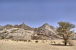 Photo of a desert with shrubs and a tree, with a mountain in the background