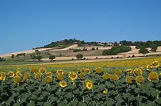The landscape of Luzillat