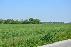 Fields west of Risingsun