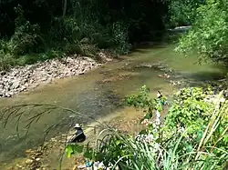 Panning for gold at the stream, Phukhao Thong