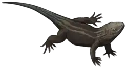 Planocephalosaurus robinsonae