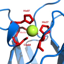 The copper site in plastocyanin features two imidazole, a thioether, and a thiolate