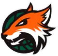 Plymouth Raiders logo