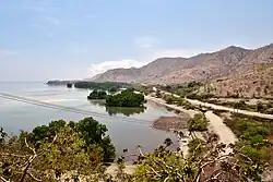 A mangrove patch east of One Dollar Beach, Timor-Leste, in 2013