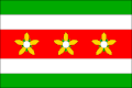 Flag of Prosečné