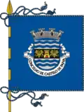 Flag of Borough of Castelo de Paiva