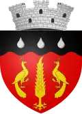 Coat of arms of Ștefănești