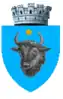 Coat of arms of Sighetu Marmației