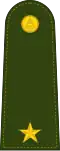 Sub Lieutenant