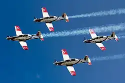 The IAF Aerobatic Team with their four T-6 Texan II Efroni (see double goose symbol) with white smoke