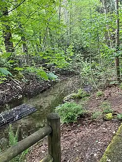 Daylighted creek at Recreation Fields, spring 2024