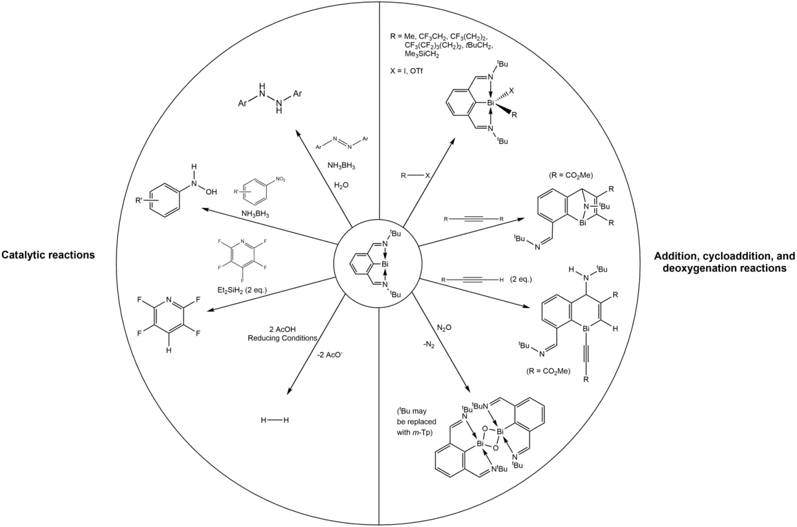 Summary of the reactivity of Dostál's bismuthinidene.