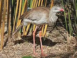 Jacksonville Zoo & Botanical Gardens, Florida