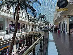 Preserved palm trees on Regent Crescent