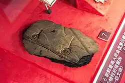 Remains of Qiu Shaoyun's charred clothes