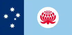 First flag proposal in 1996 by Flags for Australia