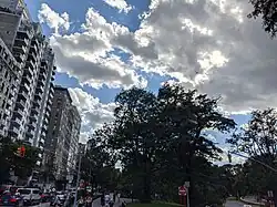 View down Riverside Drive at 79th Street