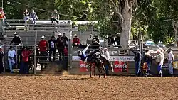 Rodeos (here at the annual fair of Bourail) are part of Caldoche culture.