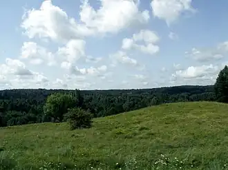 Romincka Forest in the region of Prussia