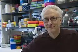 A portrait of Rudolph Leibel in the lab