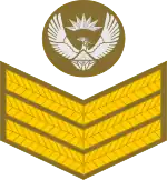 Staff sergeant (South African Army)[42]