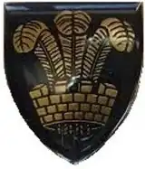 Oudtshoorn Commando Insignia