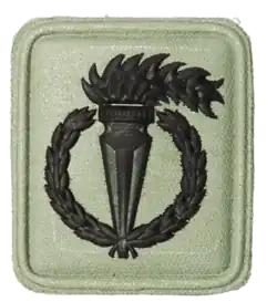 Pathfinder Badge