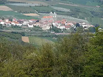 The village of Saint-Didier-sous-Riverie in the middle of orchards.