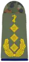 Generaloberstabsarzt (Army Senior Staff General Dentist, field uniform mounting loop)