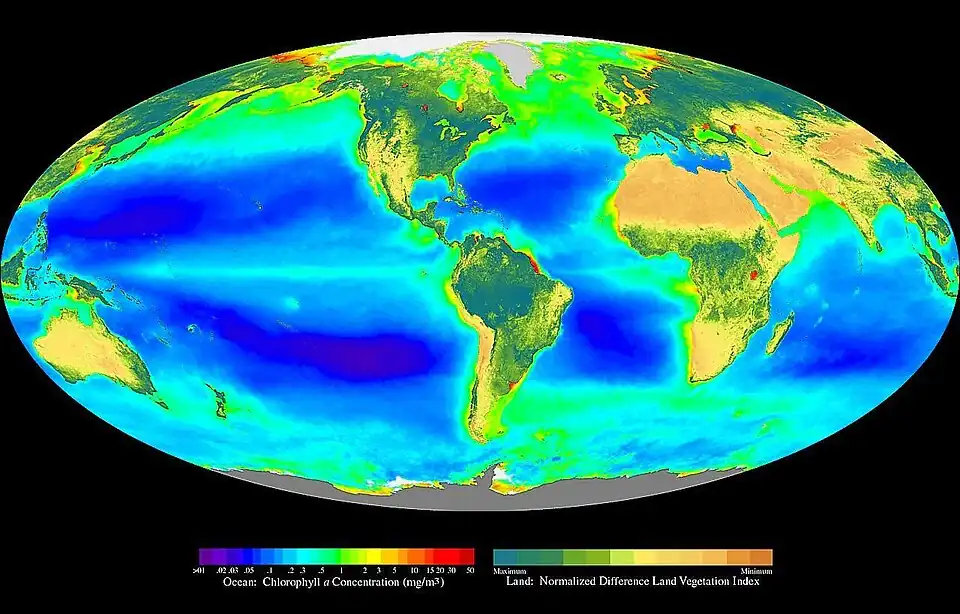 Image 28Global oceanic and terrestrial photoautotroph abundance at Primary production, by SeaWiFS Project (from Wikipedia:Featured pictures/Sciences/Others)