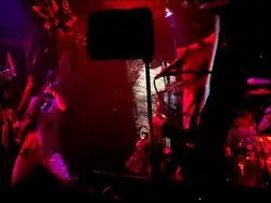 Performing live in 2010